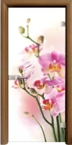 Стъклена интериорна врата модел Print G 13-2 с каса Златен дъб