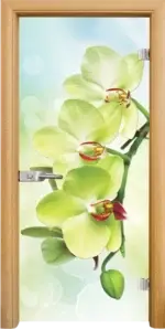 Стъклена интериорна врата модел Print G 13-3 с каса Бяла - Image 3
