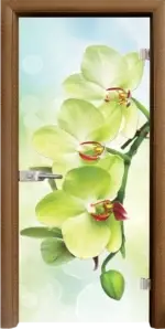 Стъклена интериорна врата модел Print G 13-3 с каса Бяла - Image 5