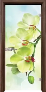 Стъклена интериорна врата модел Print G 13-3 с каса Бяла - Image 4