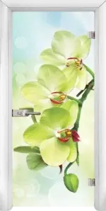 Стъклена интериорна врата модел Print G 13-3 с каса Бяла