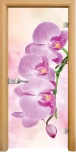 Стъклена интериорна врата модел Print G 13-3 Pink с каса Бяла - Image 3