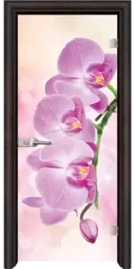 Стъклена интериорна врата модел Print G 13-3 Pink с каса Бяла - Image 2