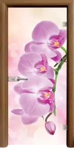Стъклена интериорна врата модел Print G 13-3 Pink с каса Бяла - Image 5