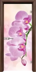 Стъклена интериорна врата модел Print G 13-3 Pink с каса Бяла - Image 4