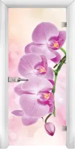 Стъклена интериорна врата модел Print G 13-3 Pink с каса Бяла