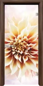 Стъклена интериорна врата модел Print G 13-5 с каса Бяла - Image 3
