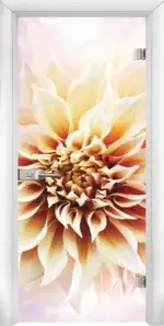 Стъклена интериорна врата модел Print G 13-5 с каса Бяла