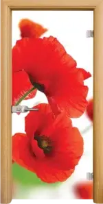 Стъклена интериорна врата модел Print G 13-8 с каса Бяла - Image 5
